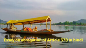Essay on abrogation of Article 370 in hindi